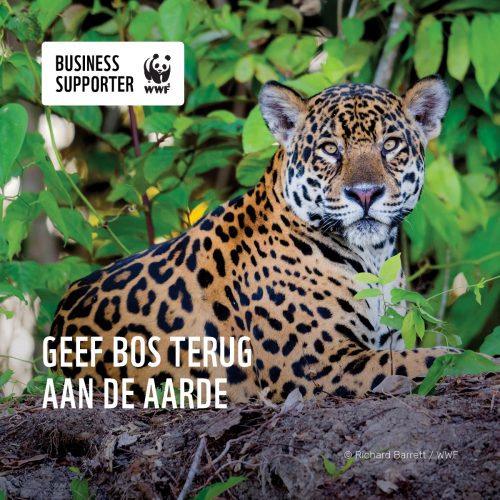 WWF Business Supporter bos social 4